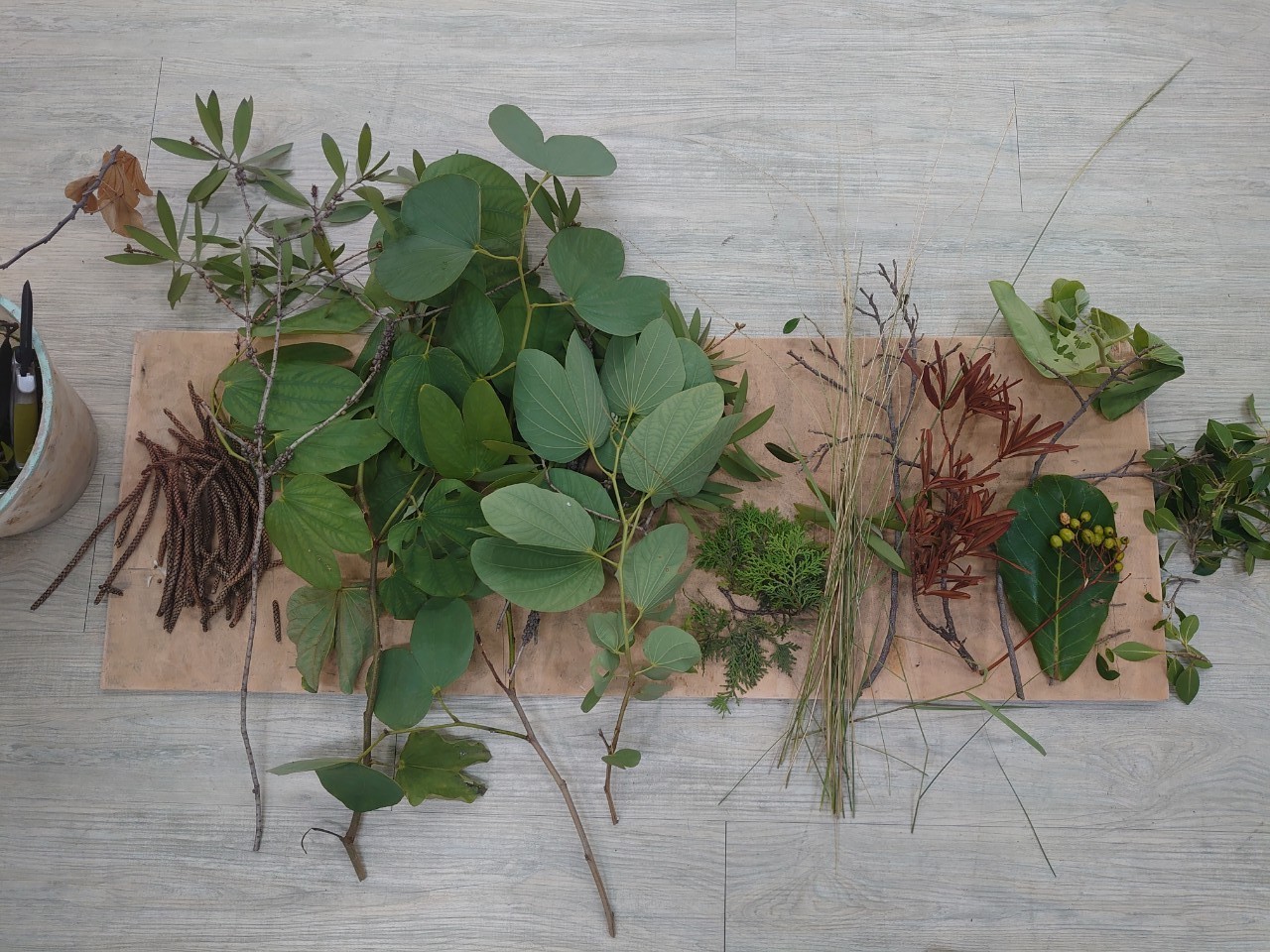 298204385_125099993591288_6533699970151433113_n