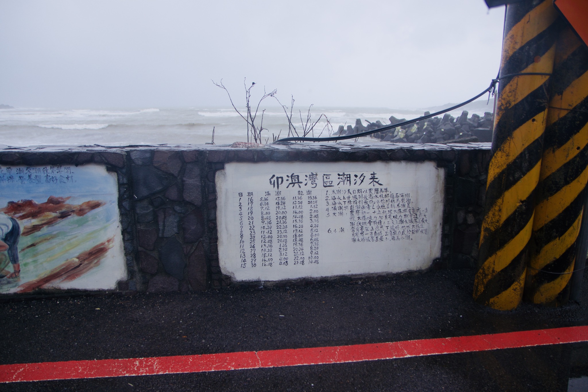 311320899_138243622292876_4344726832318158141_n