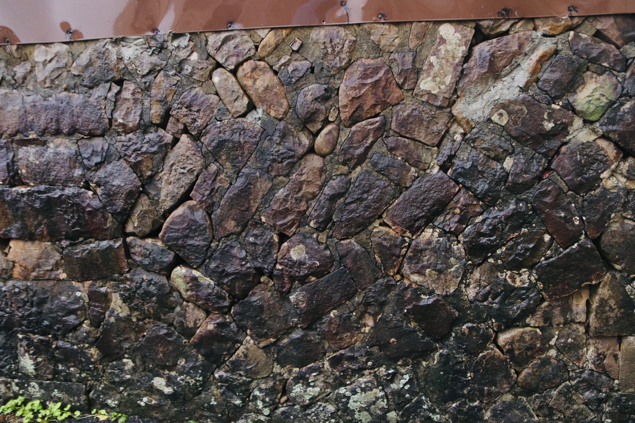 311995826_138243875626184_1683948758757516927_n